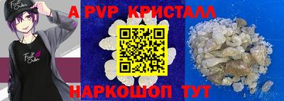 шишки Нарткала
