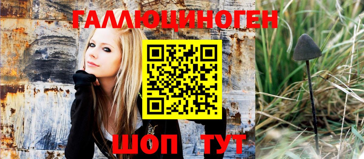 Иркутск  Псилоцибиновые грибы Psilocybe  Вход с VPN 
